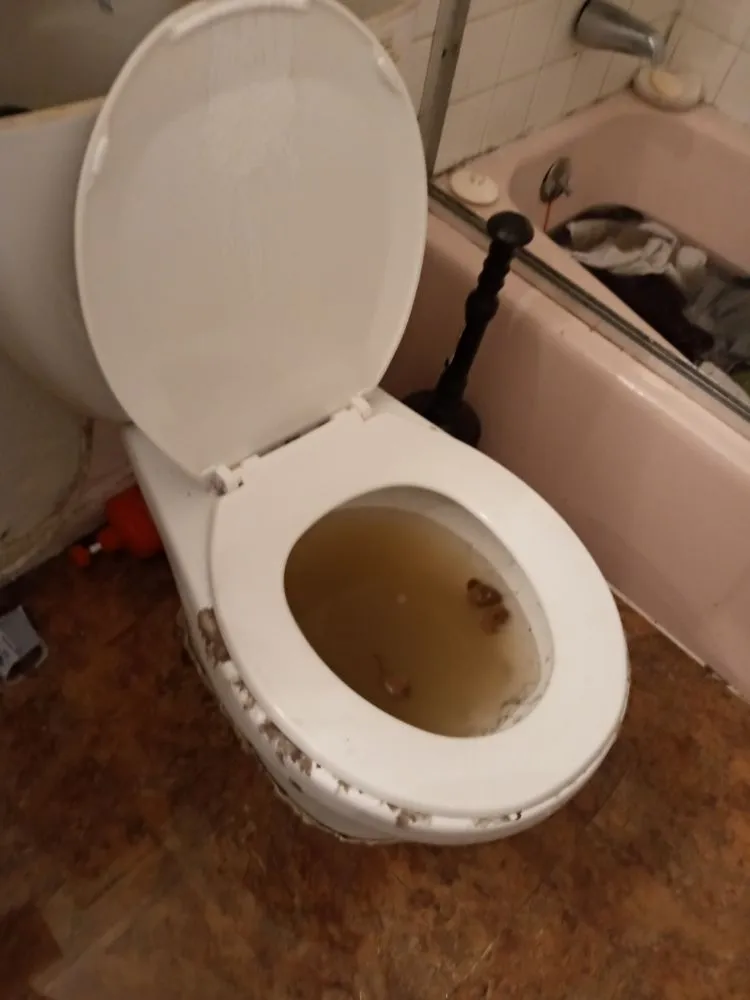 Slide of D3 Drain Cleaning