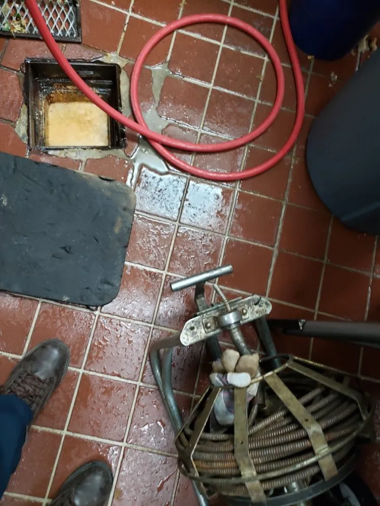 Slide of D3 Drain Cleaning