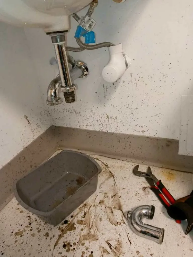 Slide of D3 Drain Cleaning