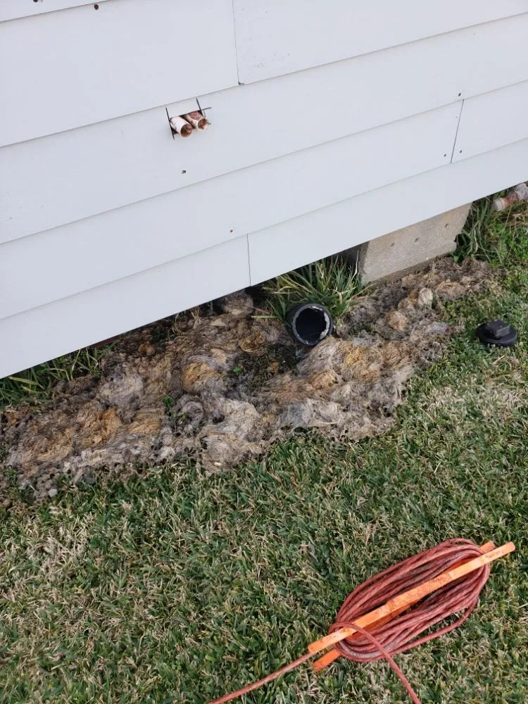 Slide of D3 Drain Cleaning