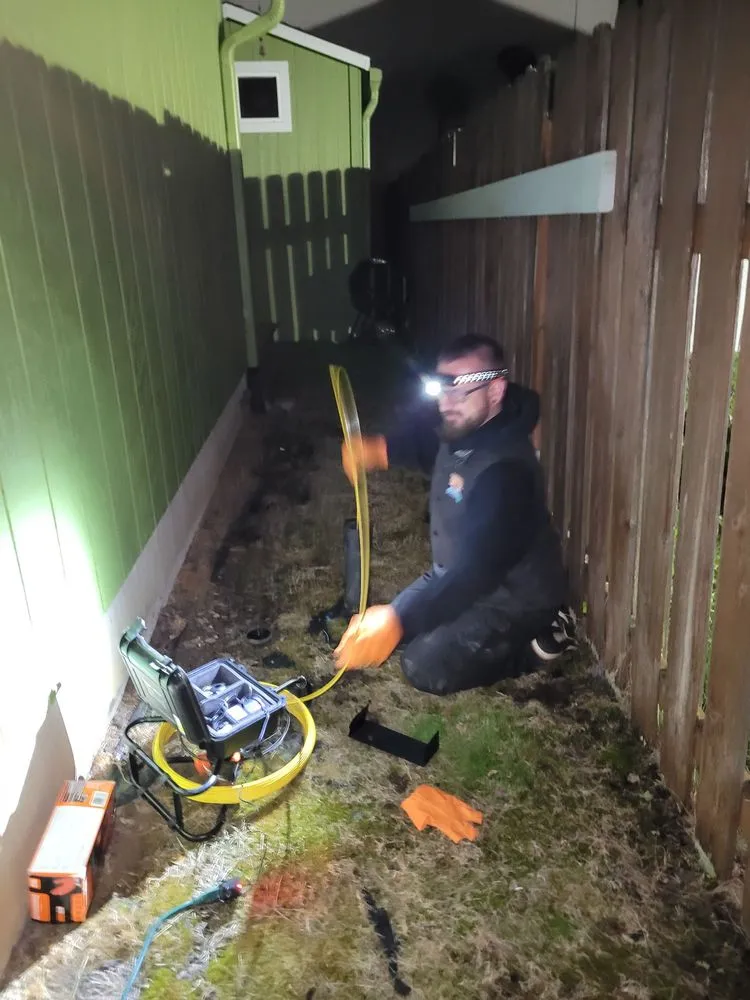 Slide of Da Vinci's Best Plumbing