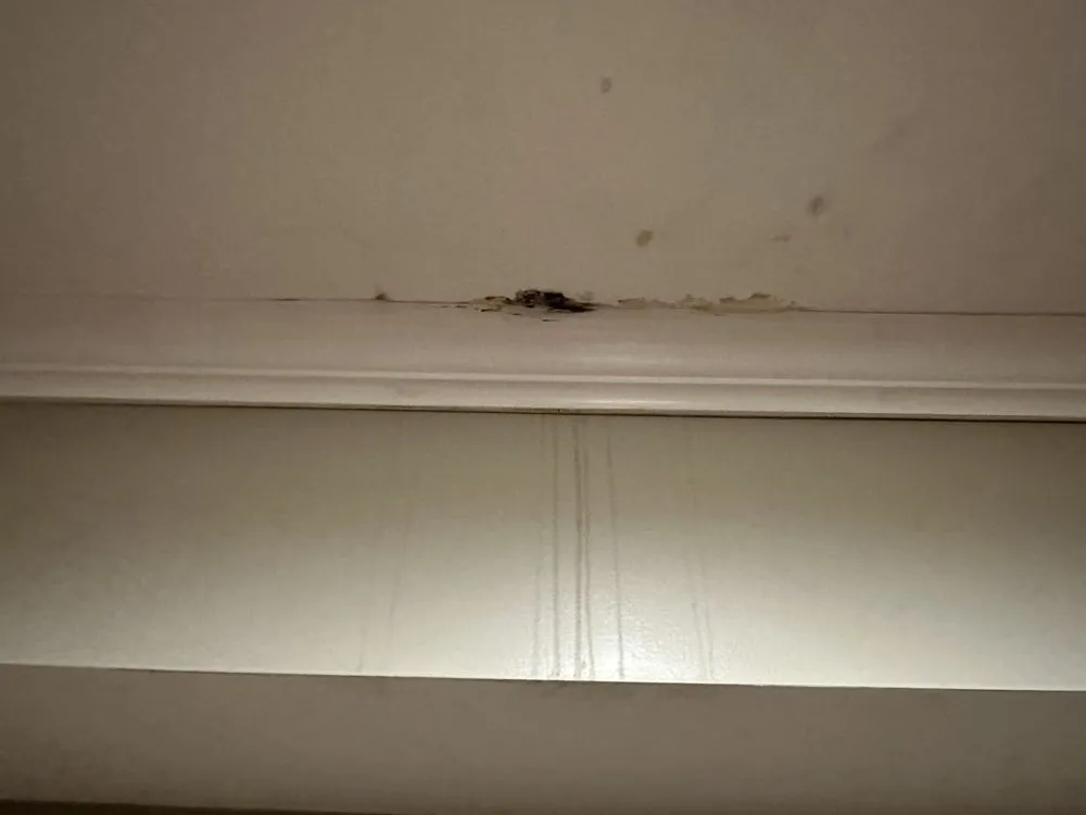 Slide of Dad's Plumbing