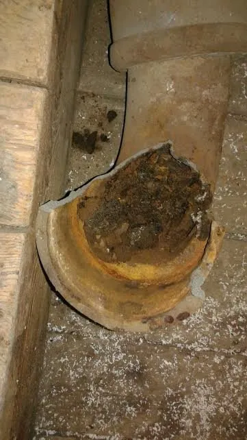 Slide of Dalco Sewer and Drain Cleaning