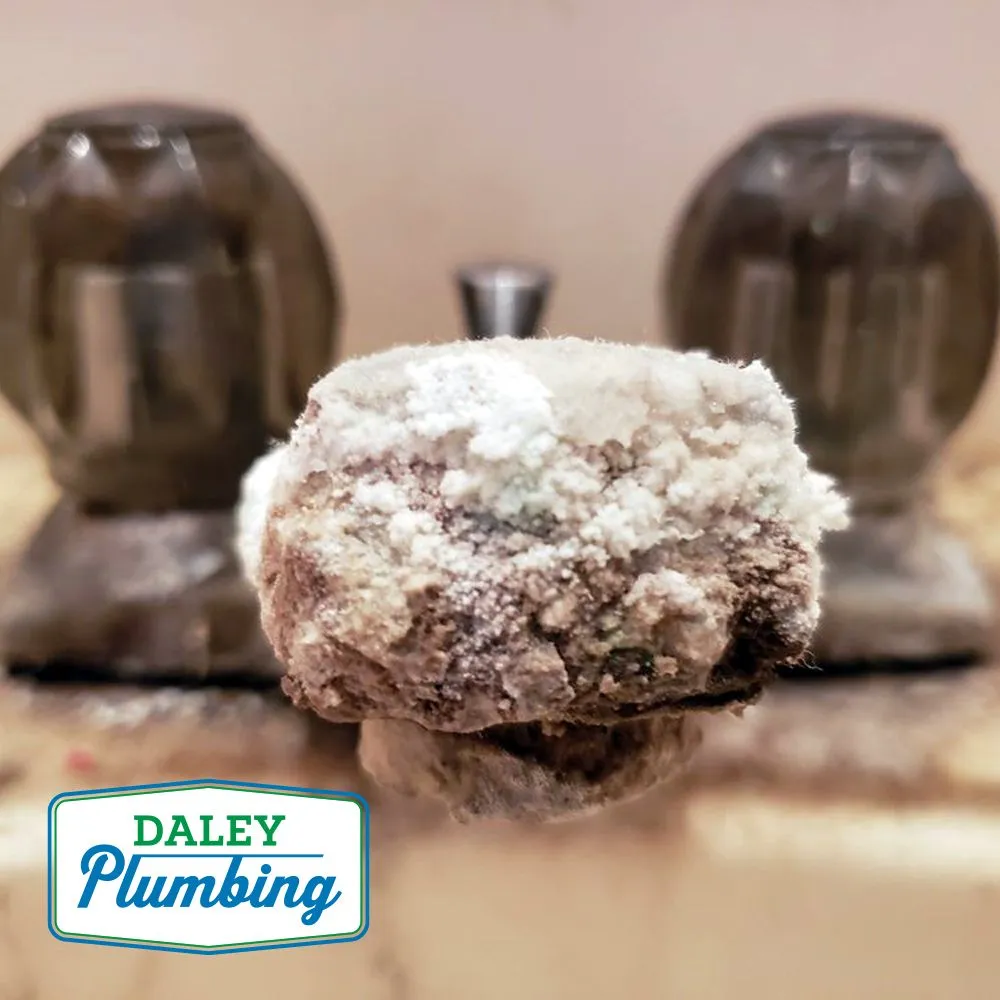 Slide of Daley Plumbing