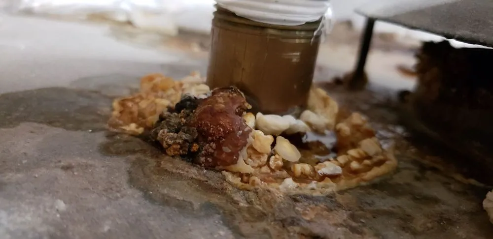 Slide of Daley Plumbing