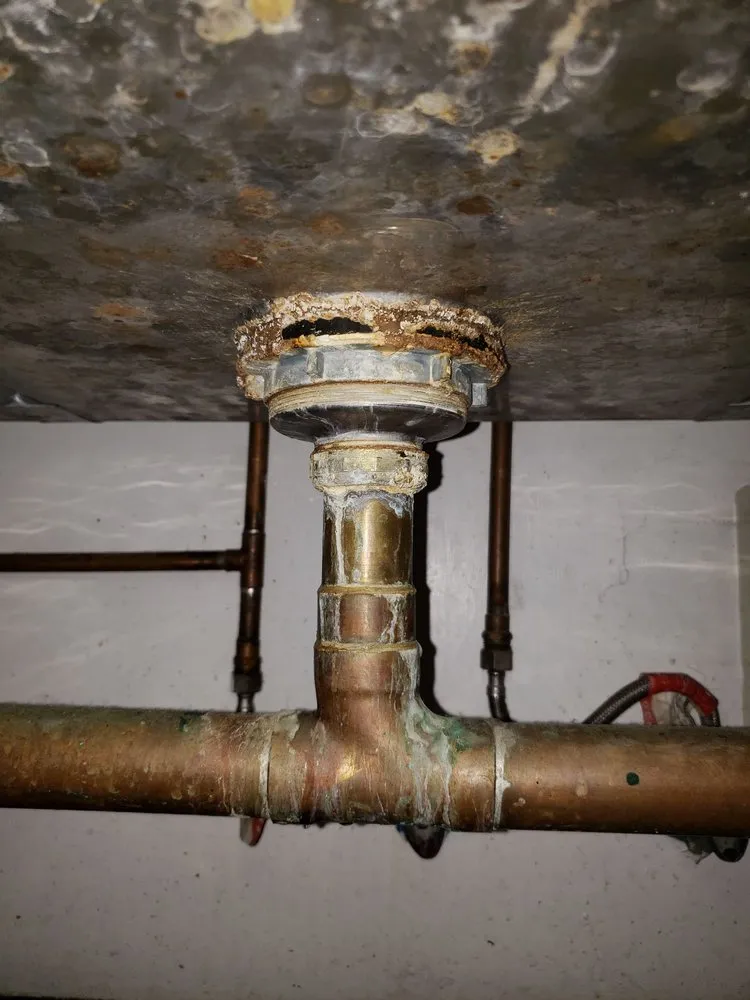 Slide of Daley Plumbing