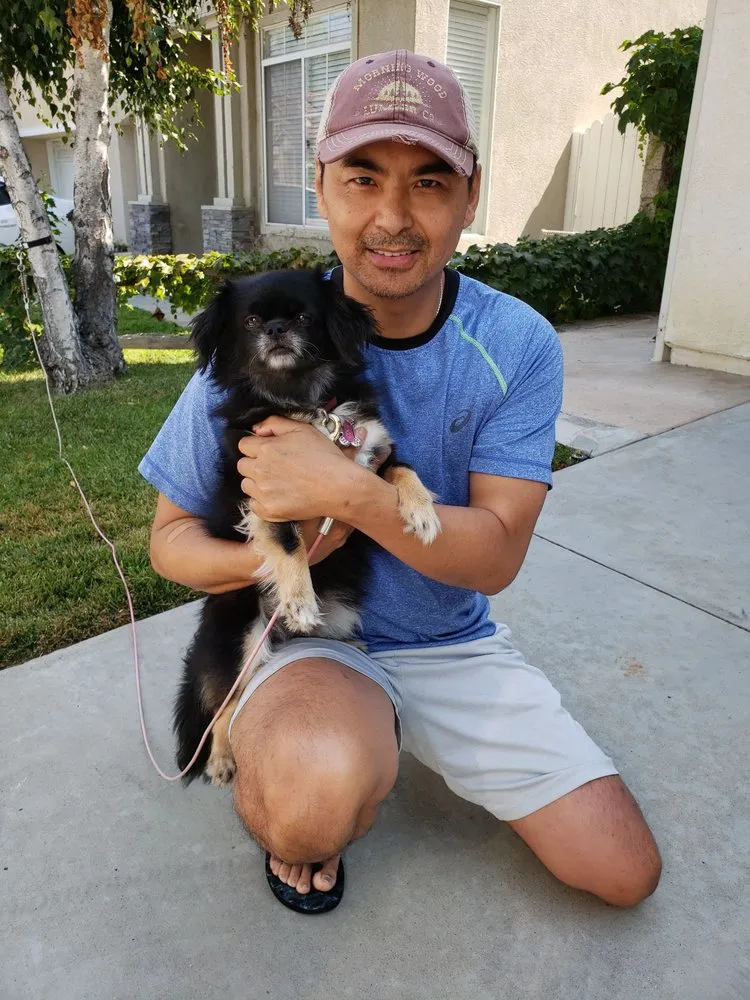 Slide of Daley Plumbing