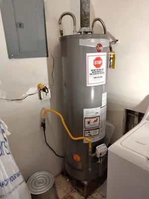 Dallis Plumbing Logo