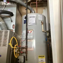 Slide of Dalmatian Plumbing