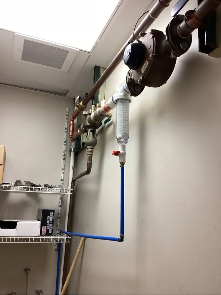 Slide of Dalmatian Plumbing