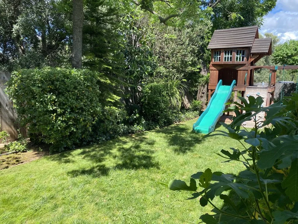 Slide of Damian Yard And Arbol Service