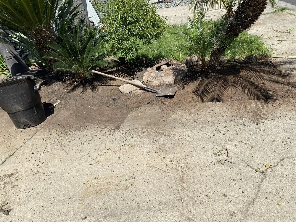 Slide of Damian Yard And Arbol Service