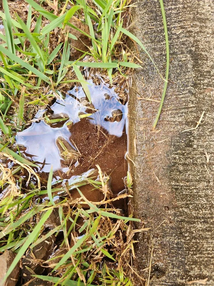 Slide of Dan Does Plumbing