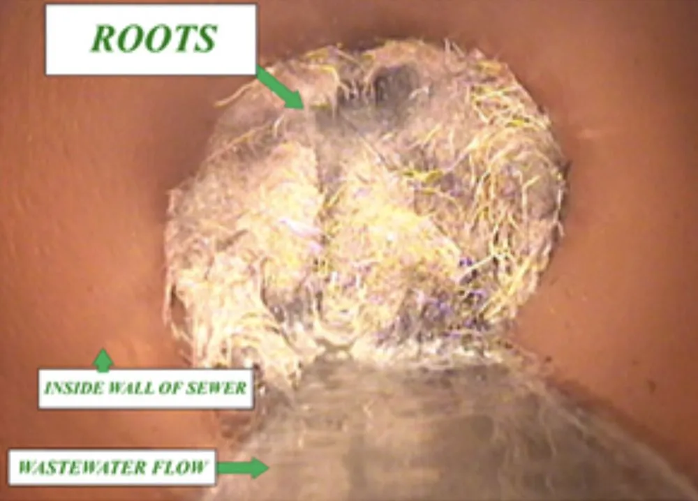 Slide of Dan Martin Plumbing & Drain Service