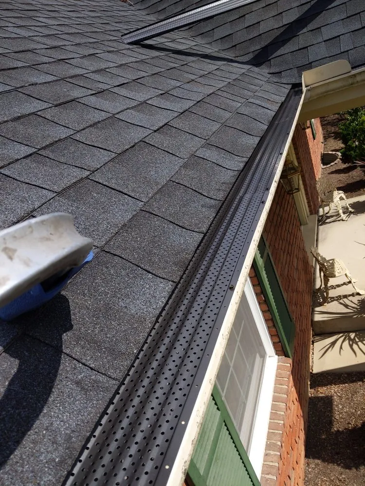 Slide of Dan The Gutterman