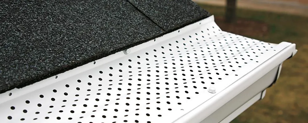 Slide of Dan The Gutterman