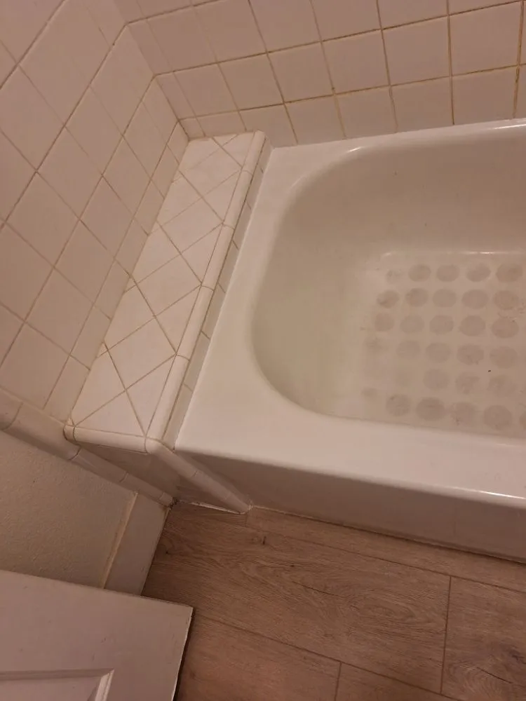 Slide of Dan the Handyman