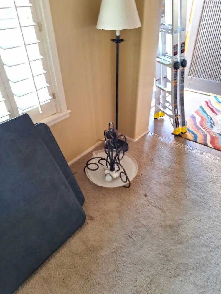 Slide of Dan the Handyman