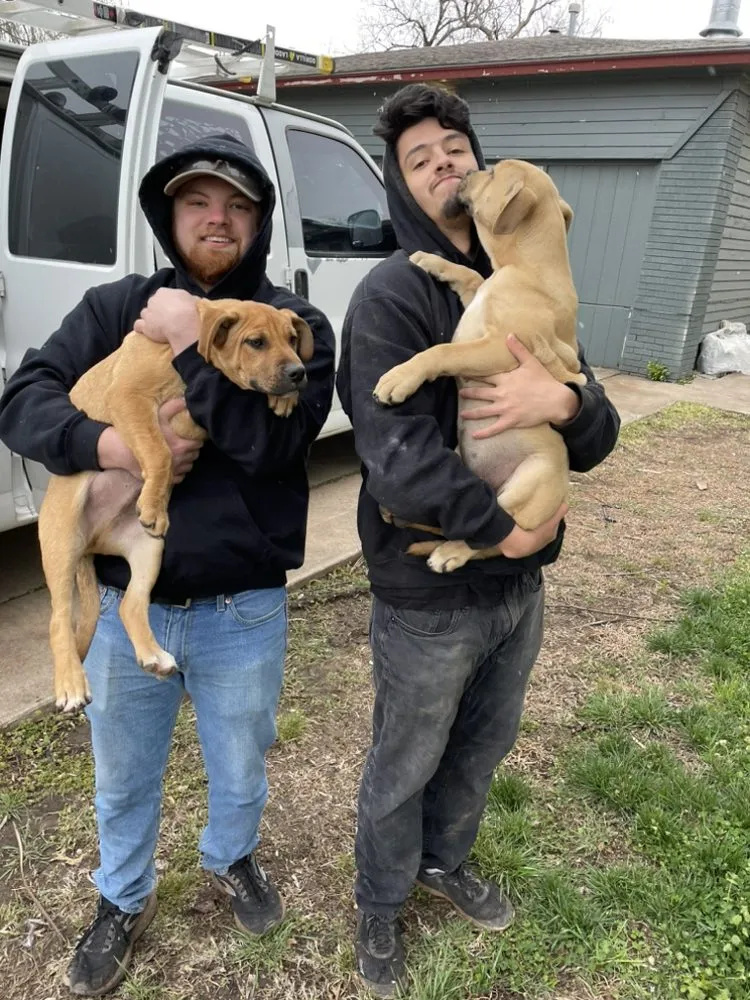 Slide of Dan the Man's Plumbing