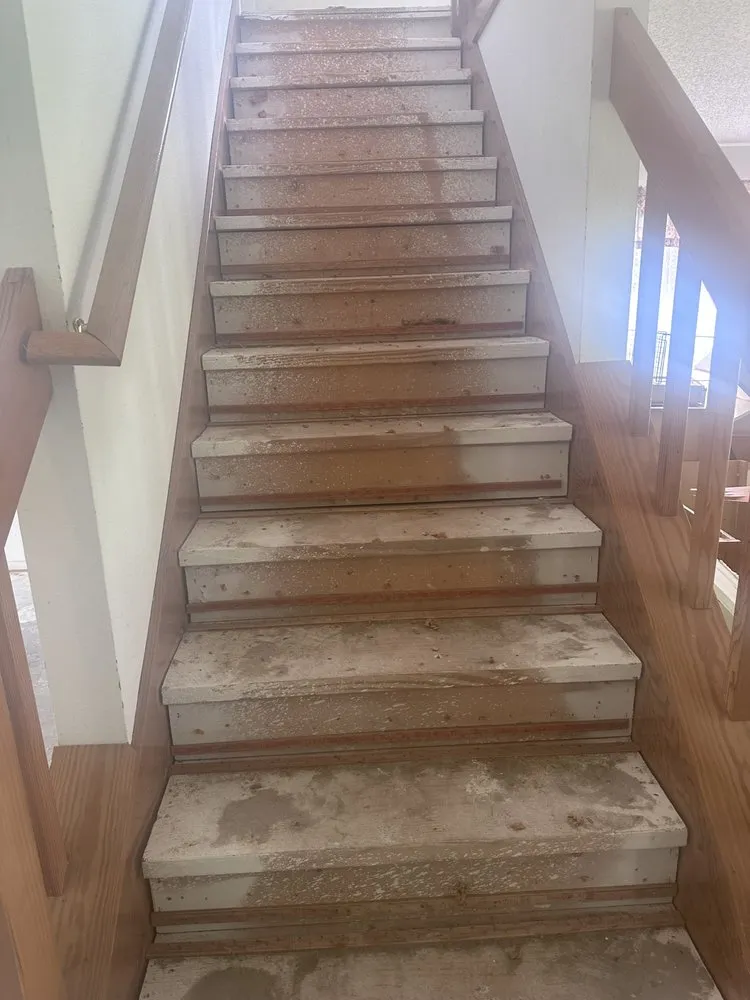 Slide of Dangerous Primate Plumbing and More