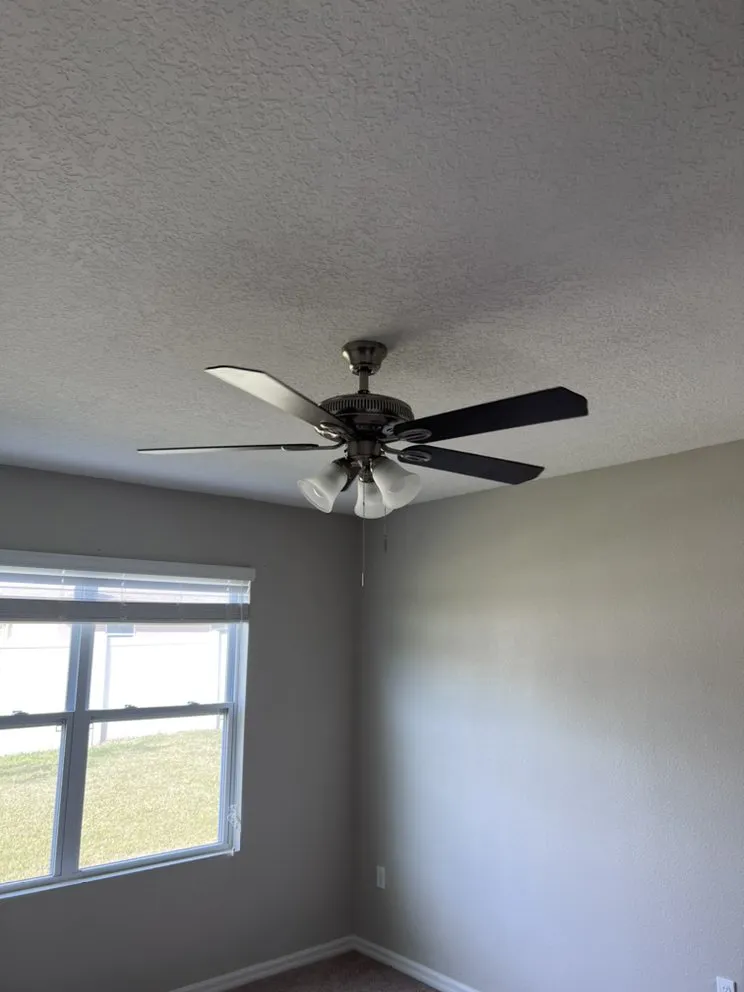 Affordable drain cleaning experts serving Kissimmee, FL - Dangerous Primate Plumbing and More