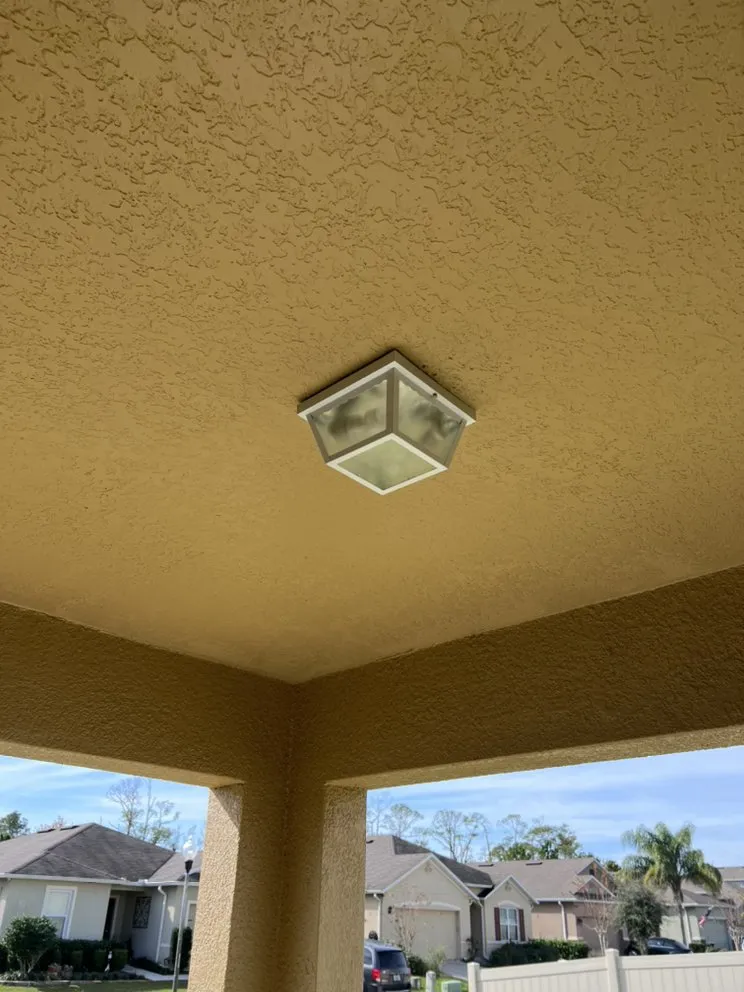 Slide of Dangerous Primate Plumbing and More