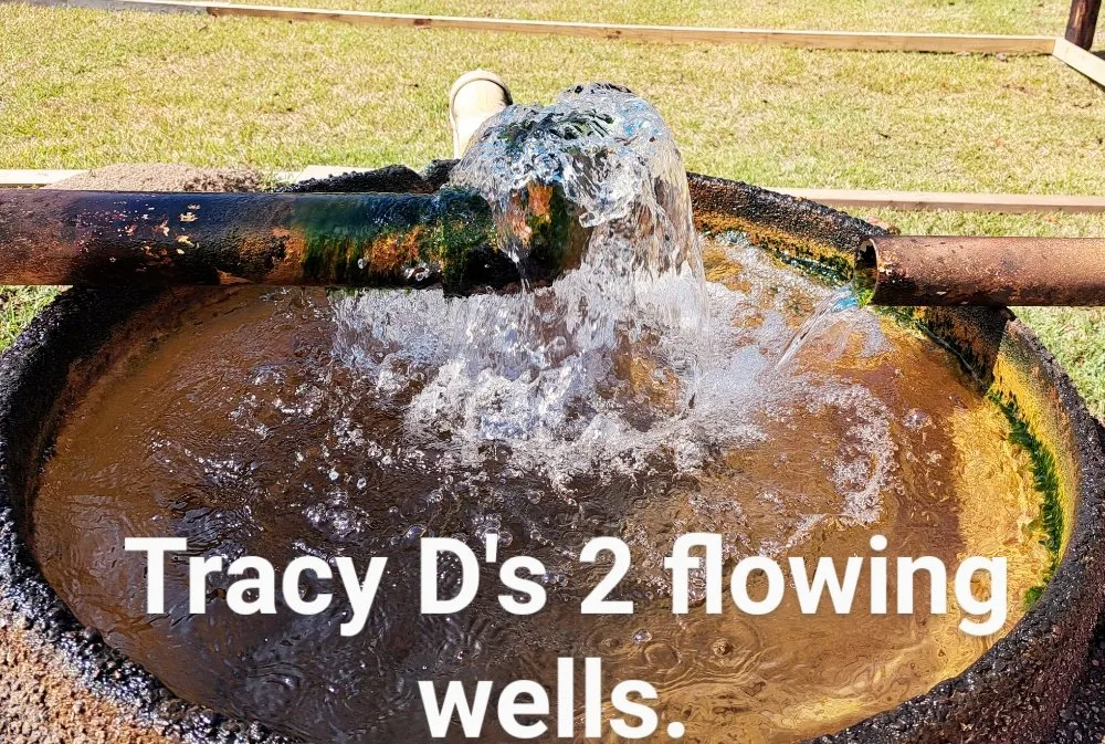 Expert plumbing repair experts serving Sandy Hook, MS - Daniel Boone's Water Well Service