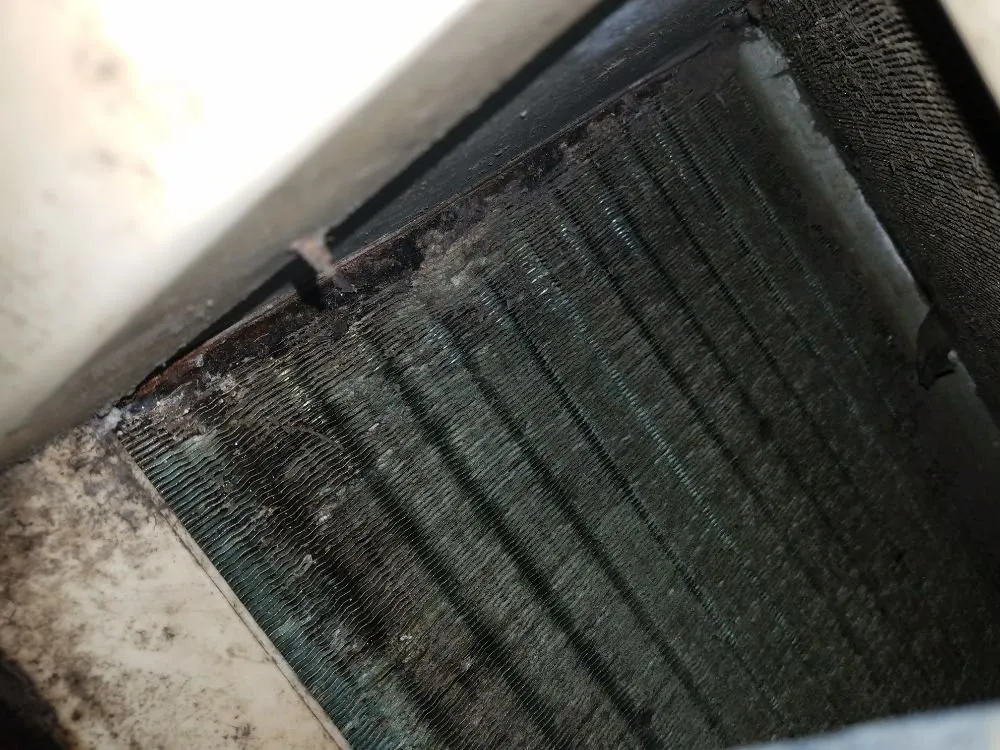 Slide of Daniel Dolinger Property Prep