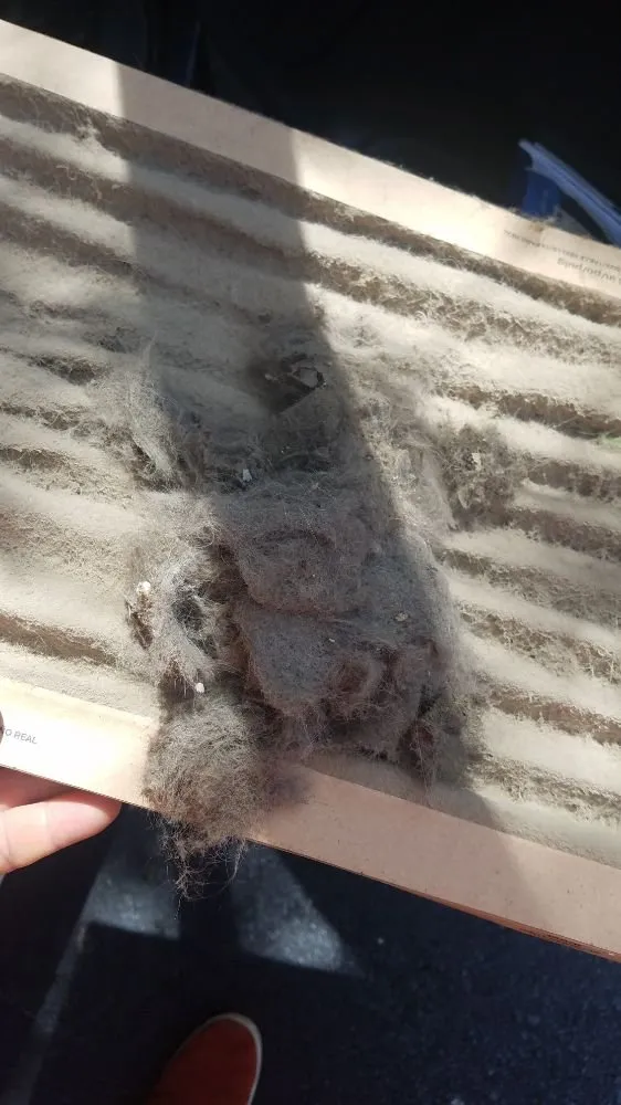 Expert drain cleaning service in Morganton, NC - Daniel Dolinger Property Prep