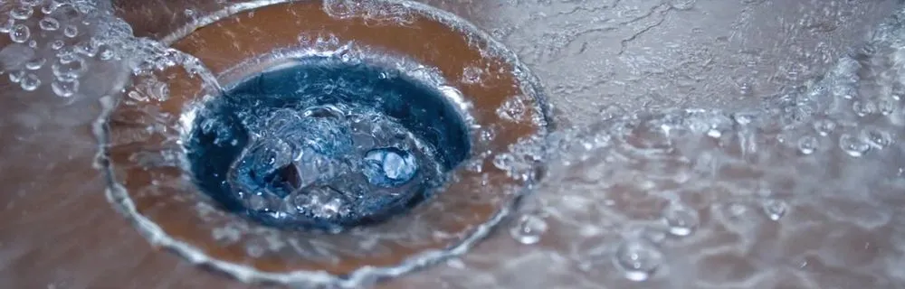 Slide of Daniel Eleftheriou