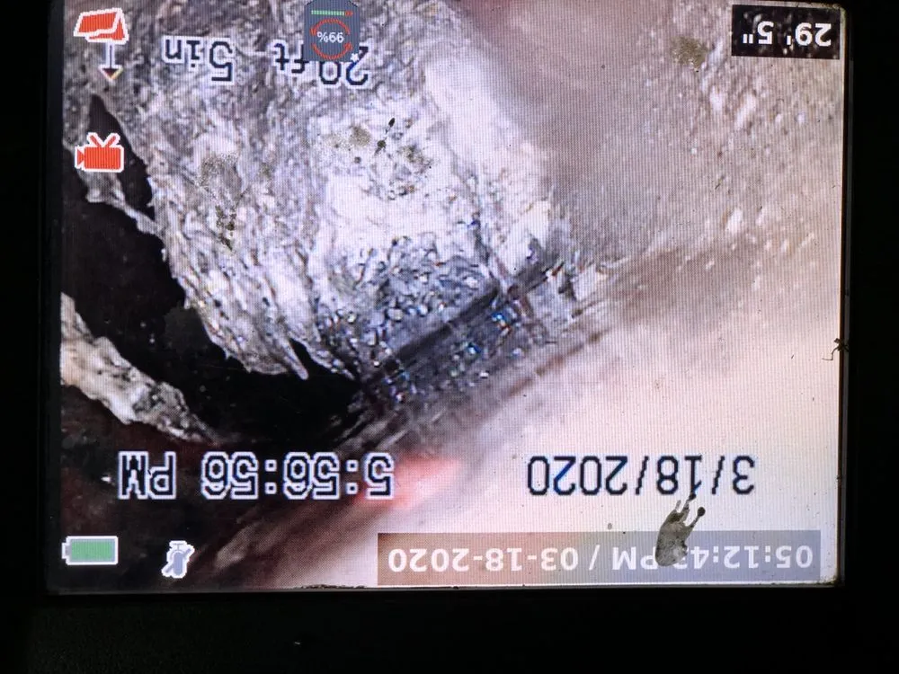 Slide of Daniel Eleftheriou