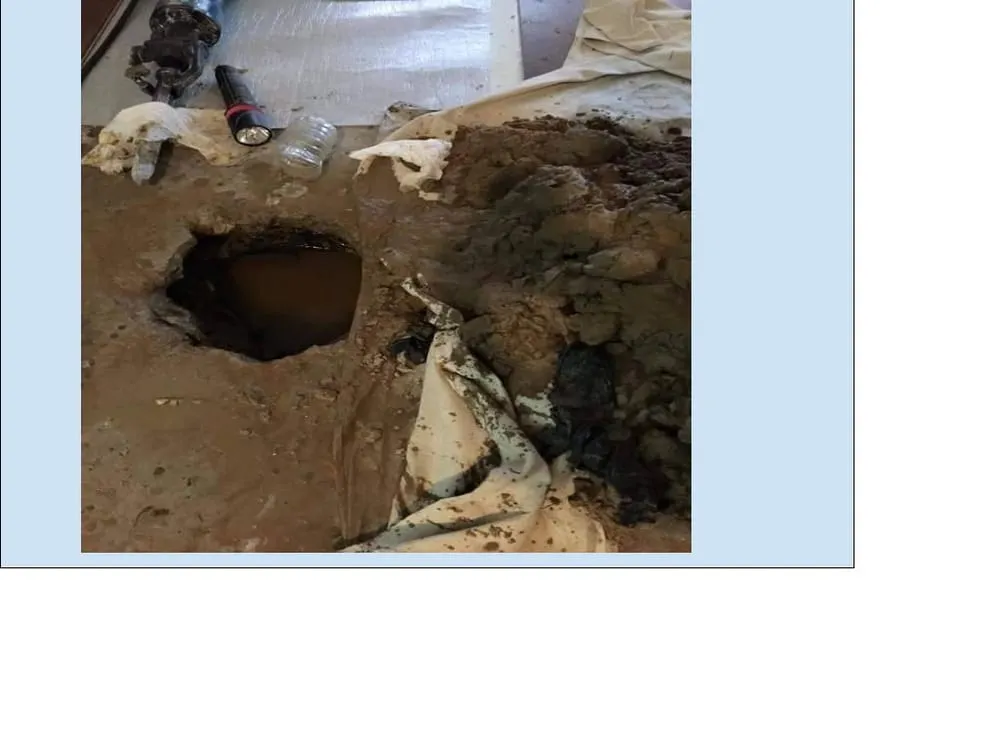 Slide of Daniel The Plumber