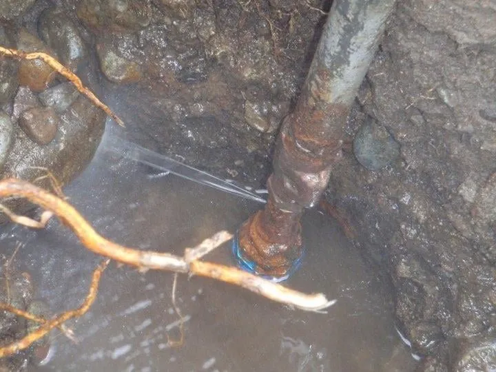 Slide of Danika Plumbing