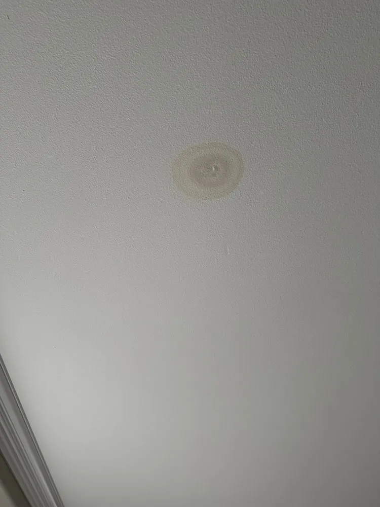 Slide of Danika Plumbing