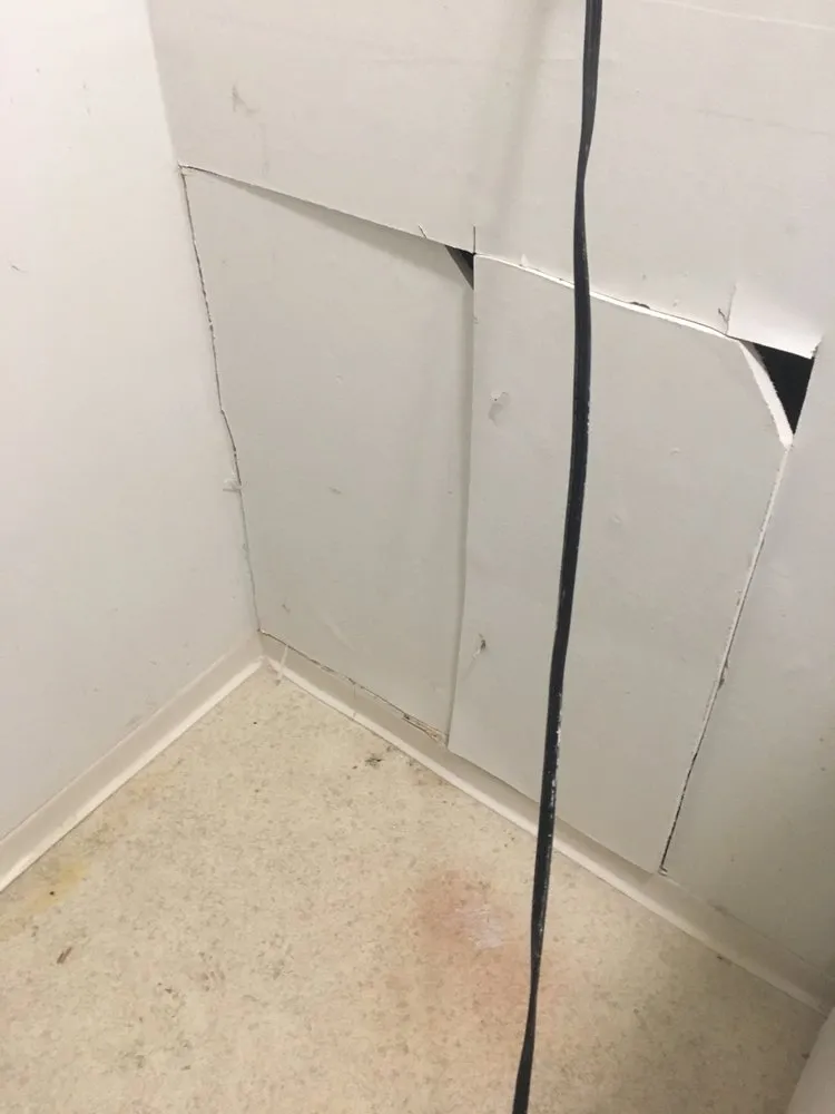 Slide of Danika Plumbing