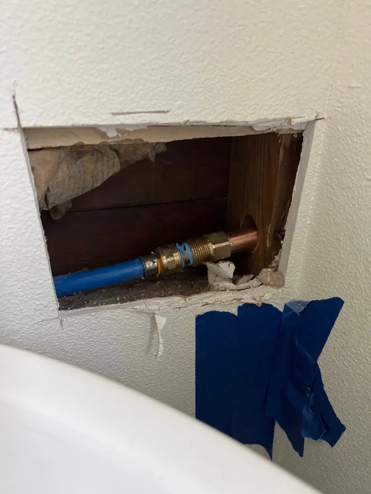 Slide of Danika Plumbing