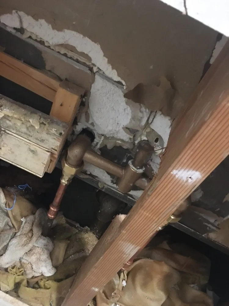 Slide of Danika Plumbing