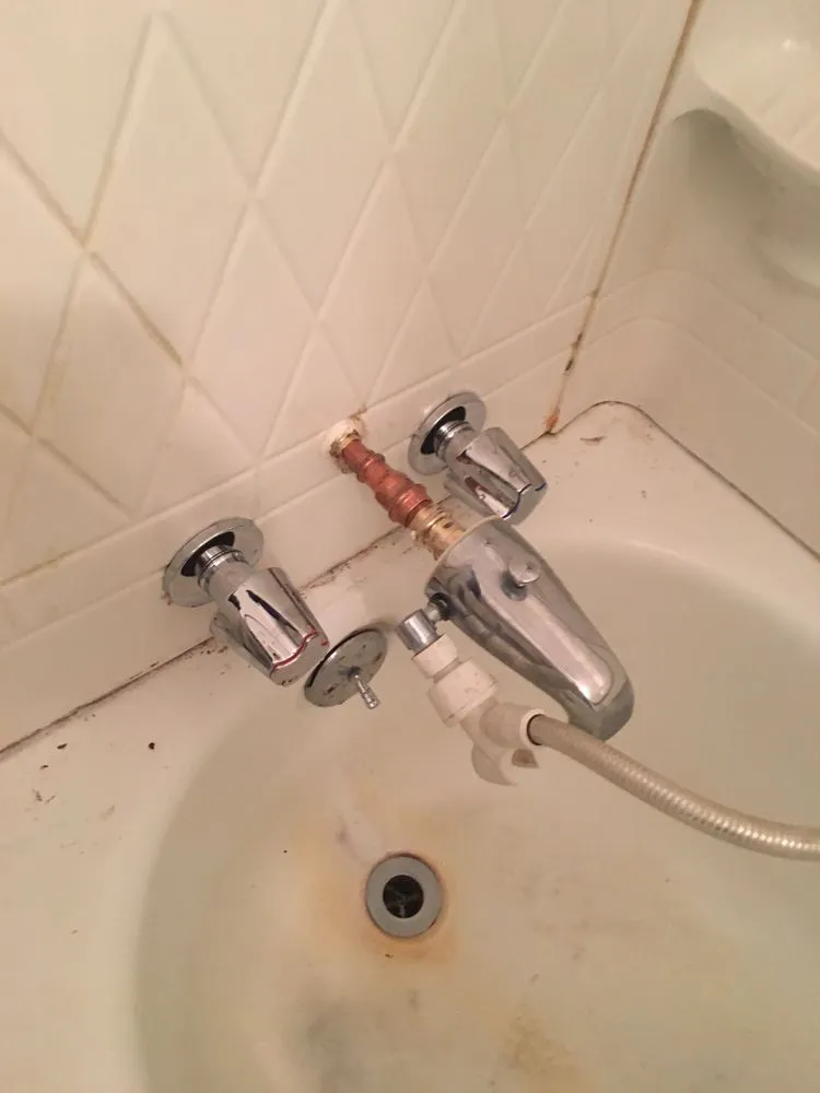 Slide of Danika Plumbing