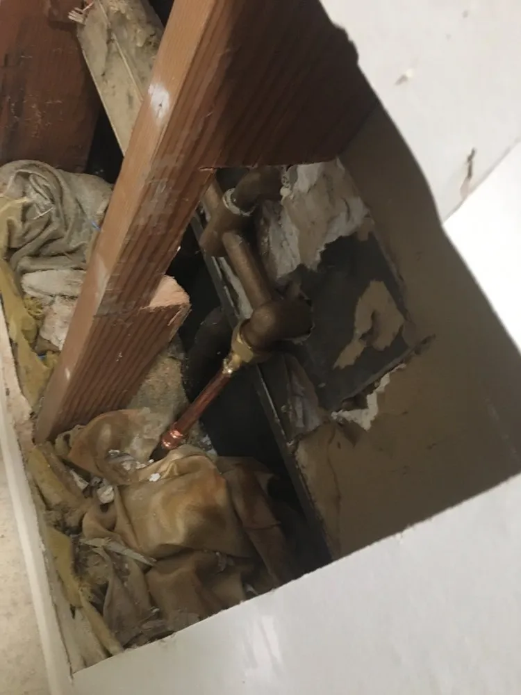 Slide of Danika Plumbing