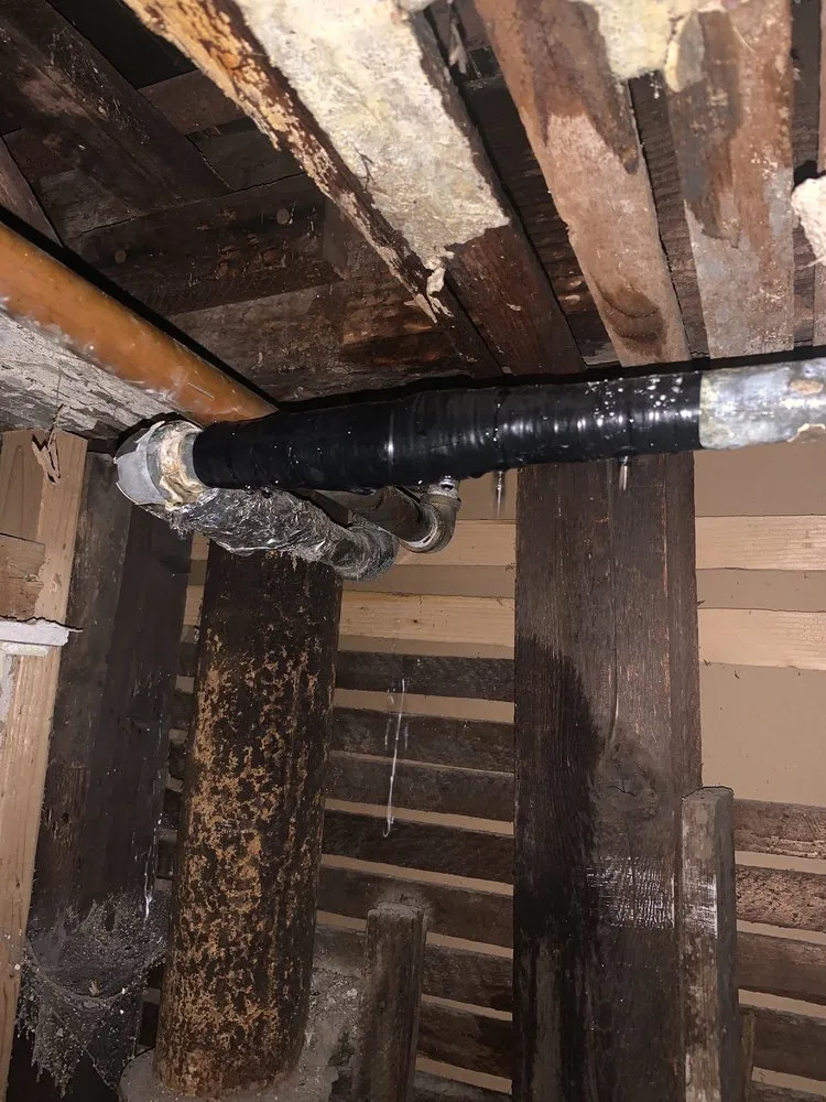 Slide of Dani’s Plumbing Services