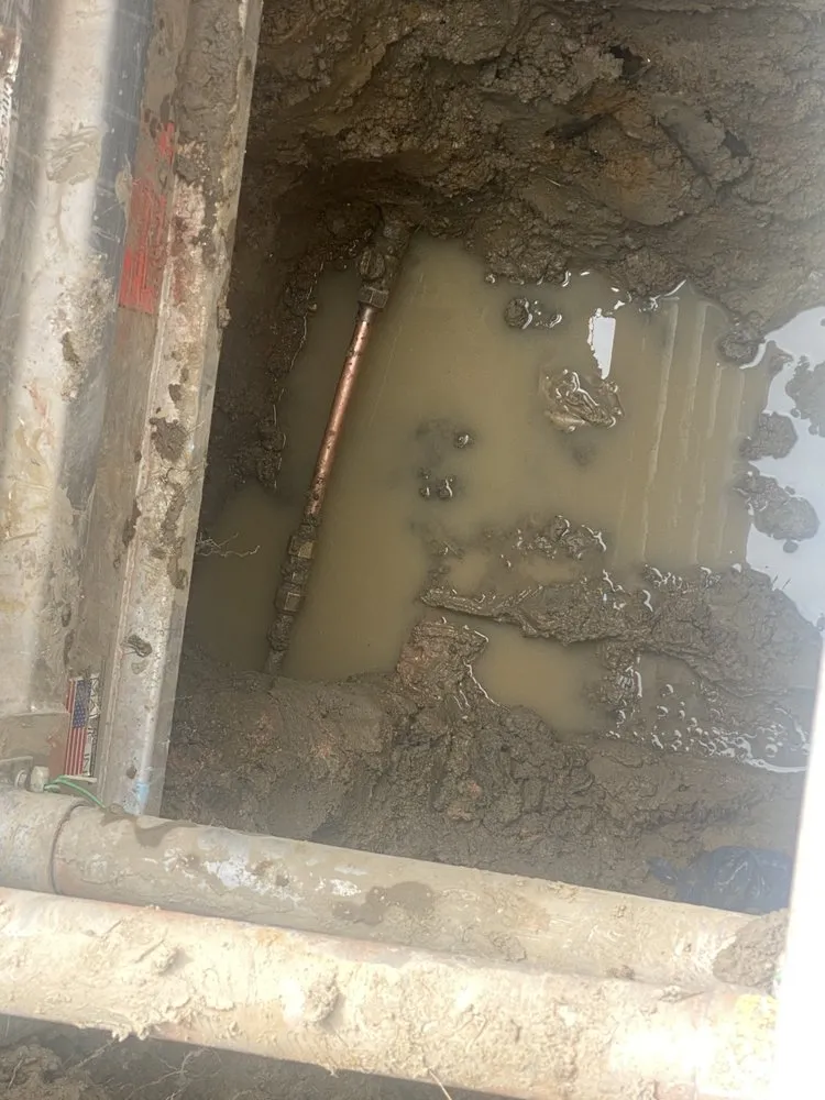 Slide of Dan's Drains and Digs