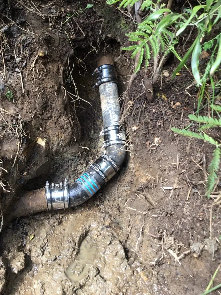 Affordable plumbing repair in San Rafael, CA by Dan's Plumbing and Sewer Service