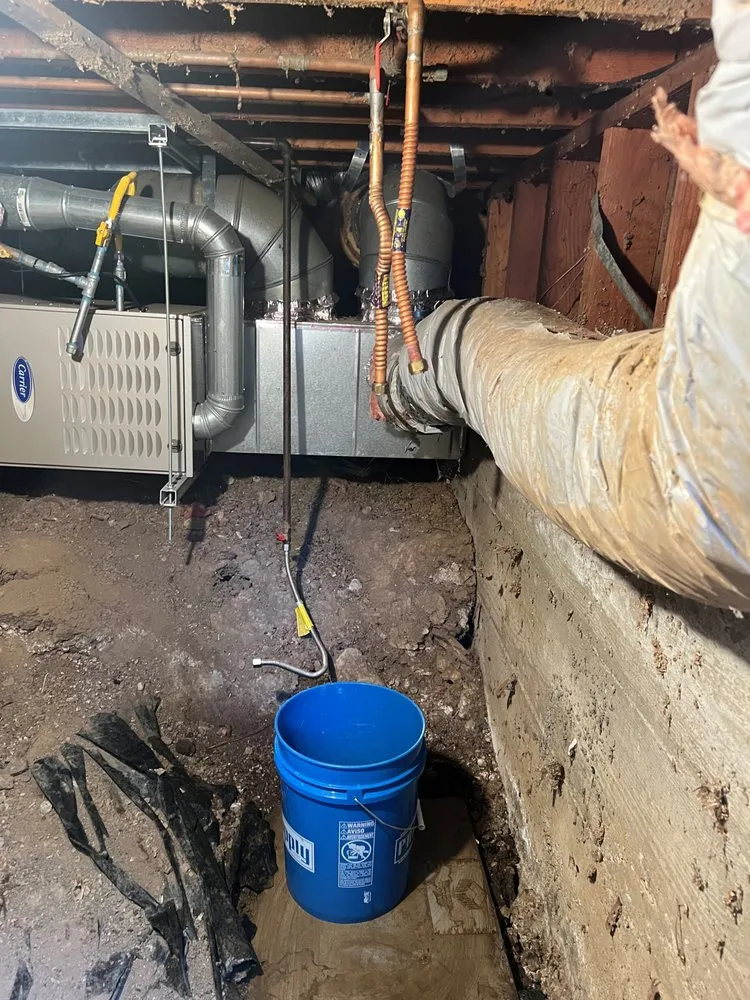 Affordable emergency plumbing experts serving San Rafael, CA - Dan's Plumbing and Sewer Service