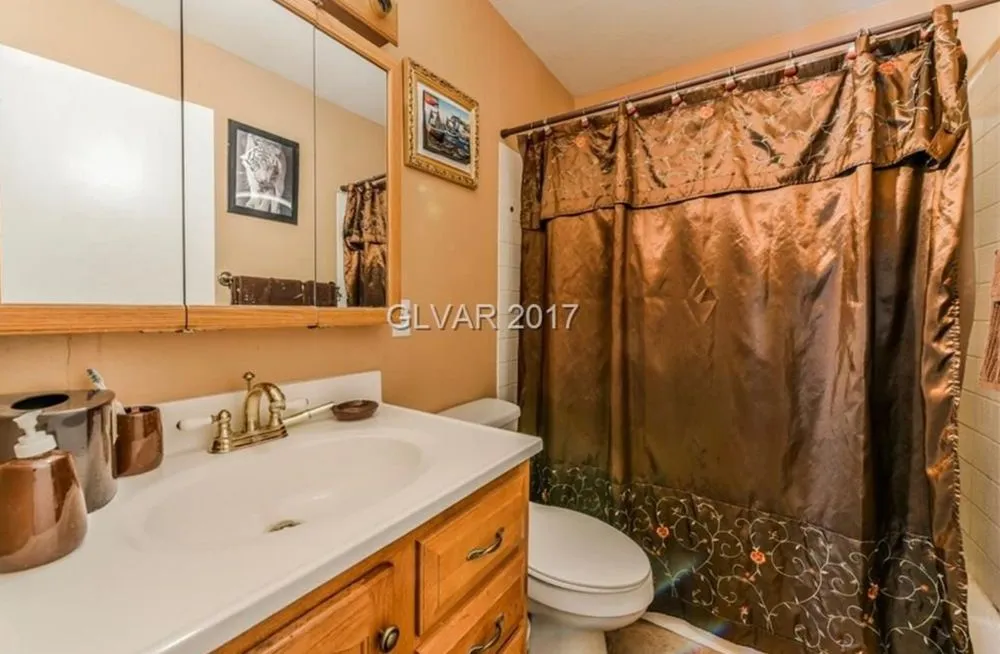 Slide of Danube Construction