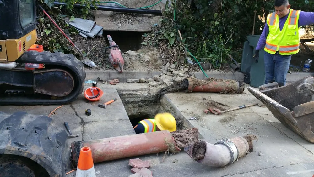 Trusted drain cleaning in San Fernando Valley, CA by Dash Plumbing & Rooter