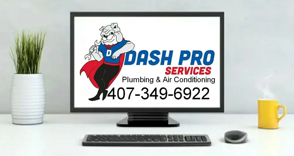 Slide of Dash Pro Services