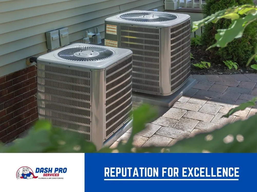 Slide of Dash Pro Services