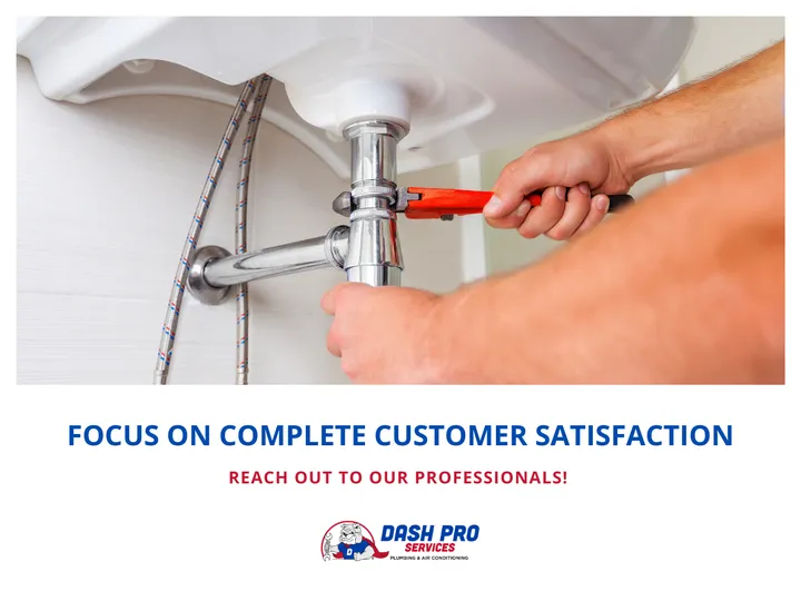 Slide of Dash Pro Services