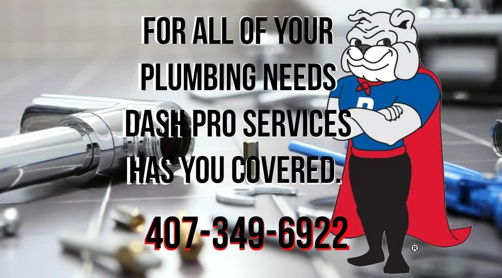 Slide of Dash Pro Services