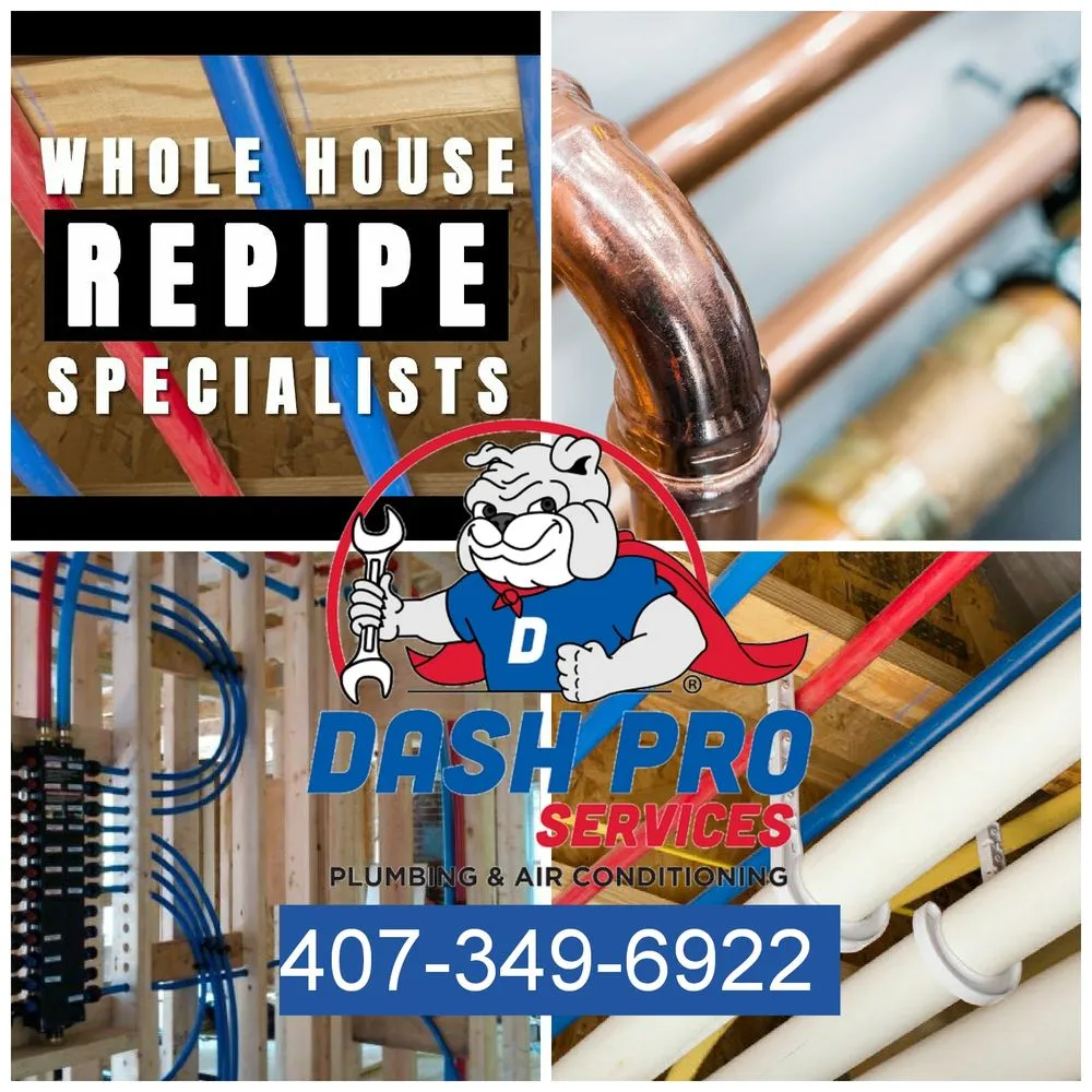 Slide of Dash Pro Services